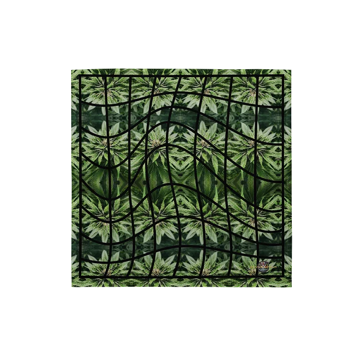 Fascia Cancellata product image (1)