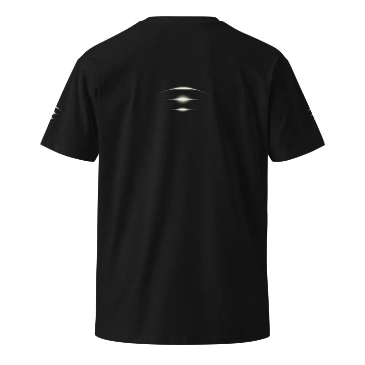 Plain T-Shirt product image (1)