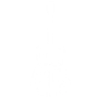 Tyler Levs 