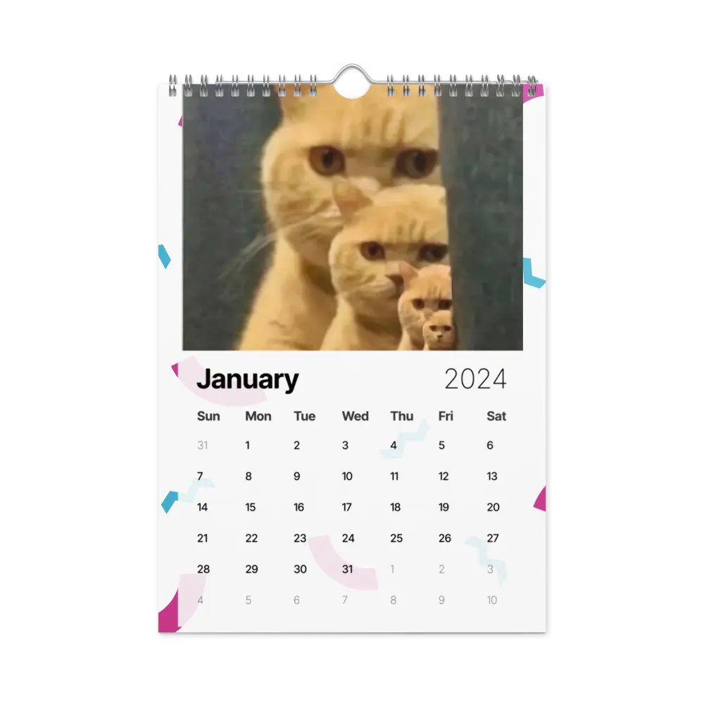 Wall Calendar (2024): Meme Cats product image (8)