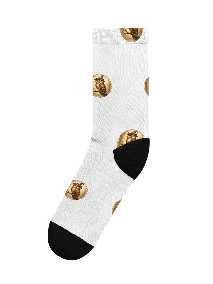 Whimsical Owl Reading Crew Socks product image (1)