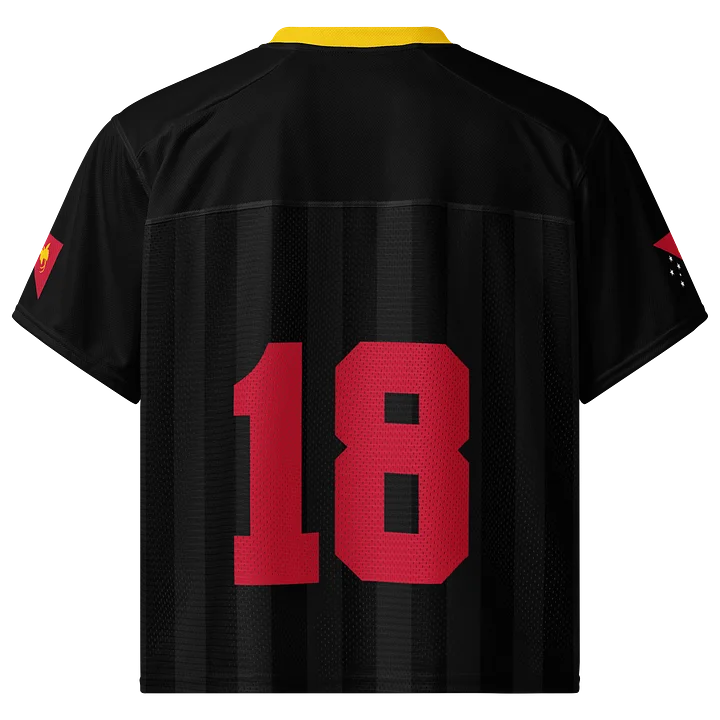 Papau New Guinea Boxy Sports Tee product image (2)