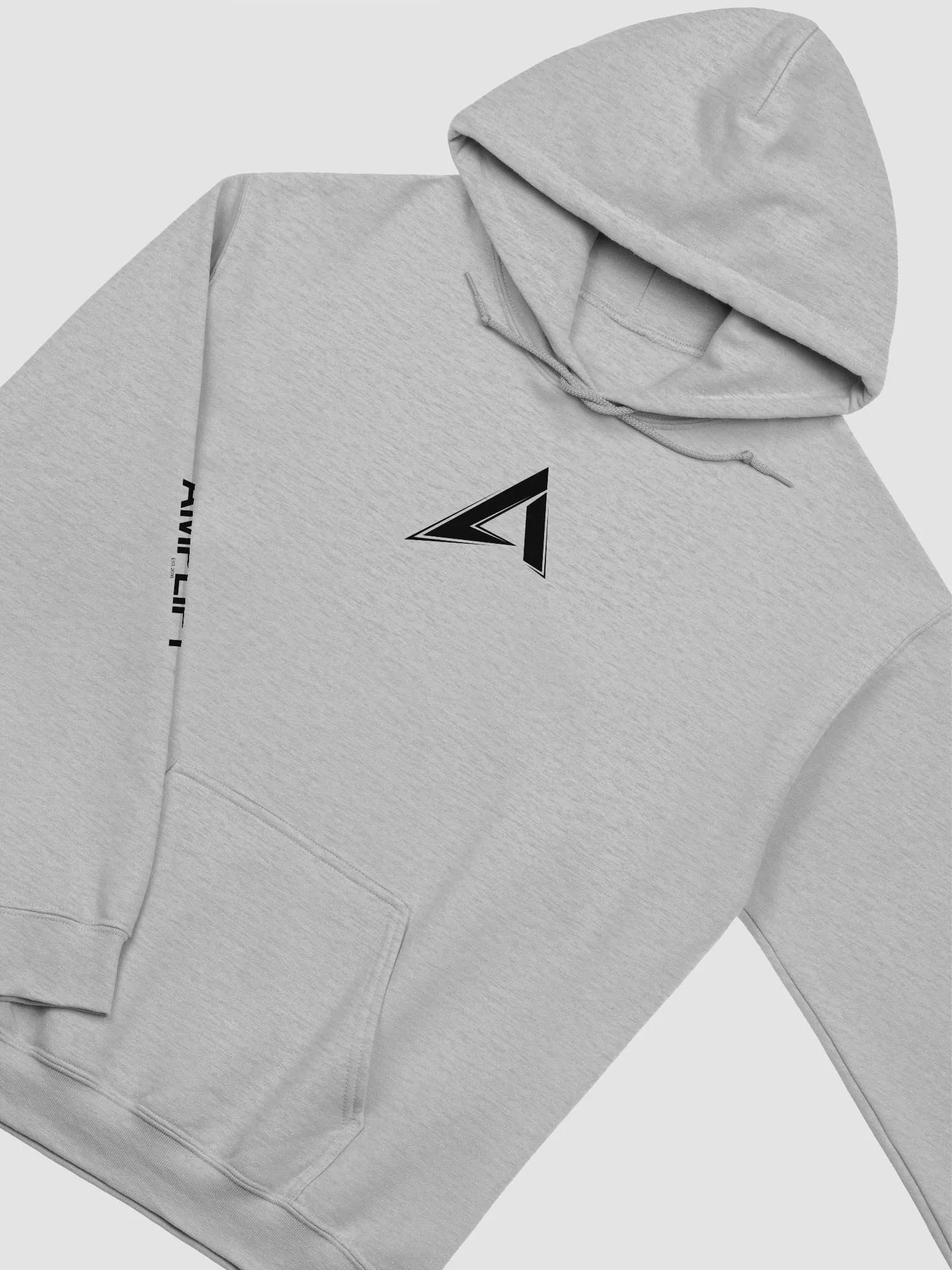 Amp Classics Hoodie (Gray) product image (2)