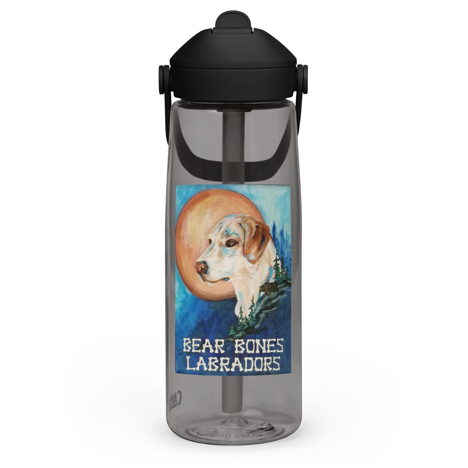 Original Logo Water Bottle product image (13)