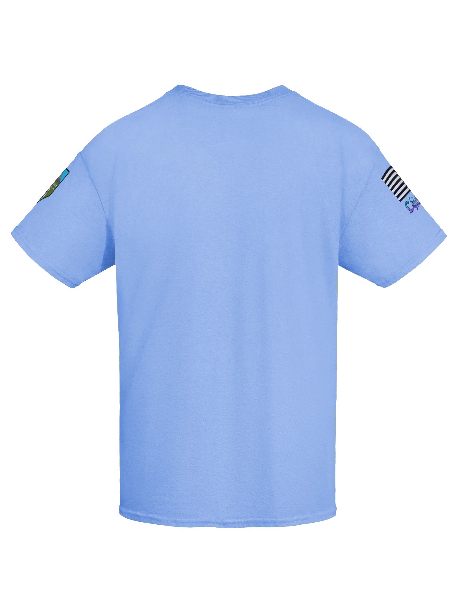 Chick Vet I'm the Veteran Shirt product image (60)