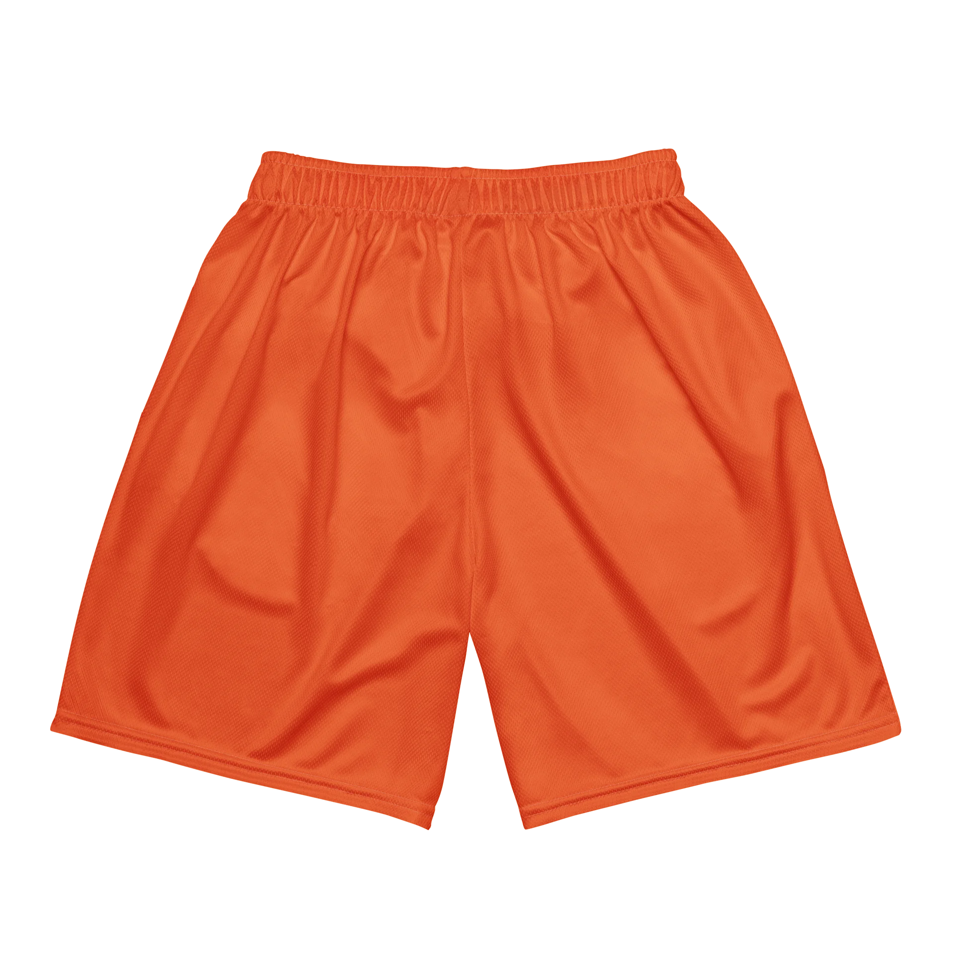 F&F Flag Mesh Shorts (ORG) product image (6)