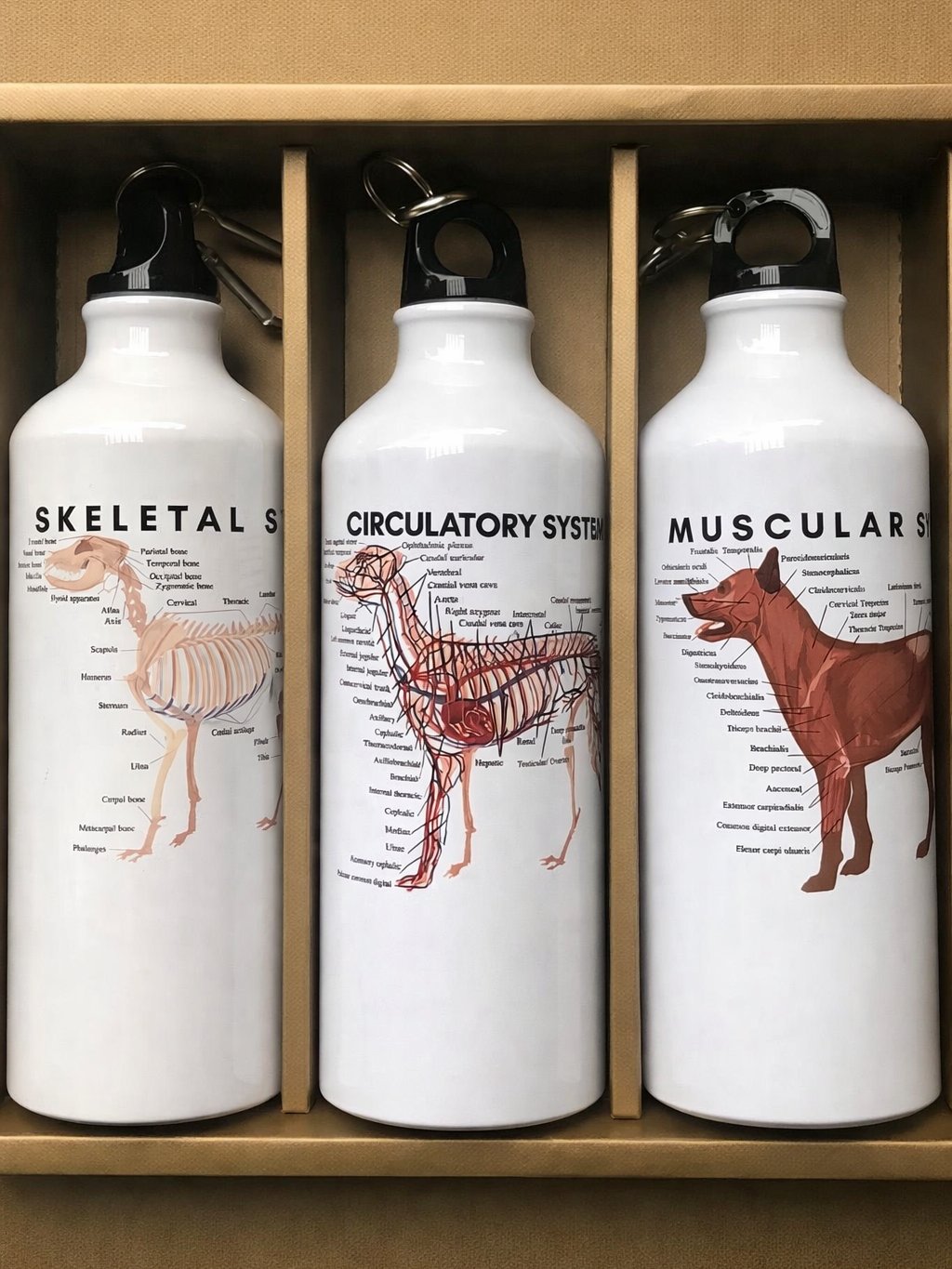 Canine Body System Sports Jugs product image (1)