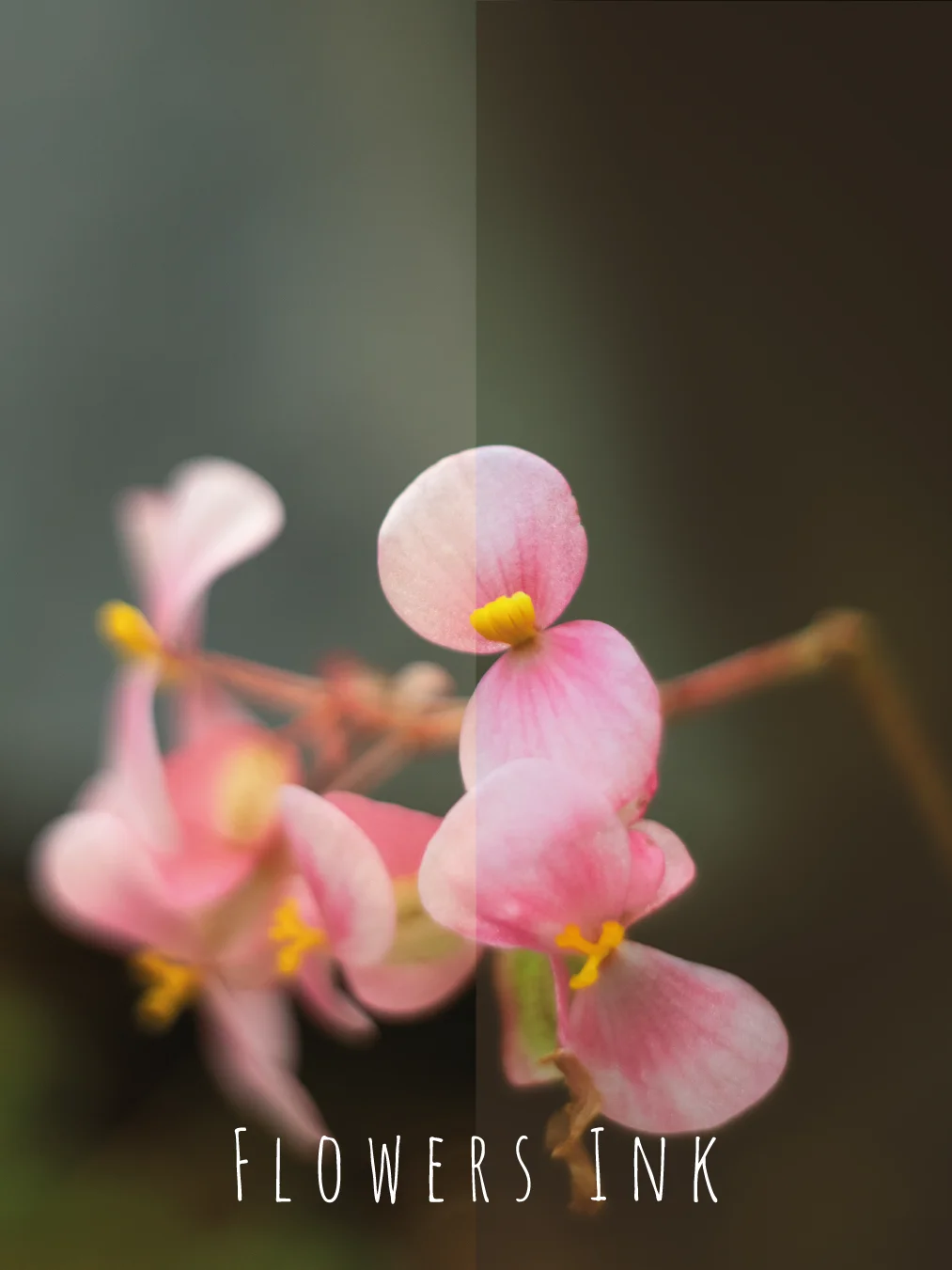PRESETs PACK product image (6)