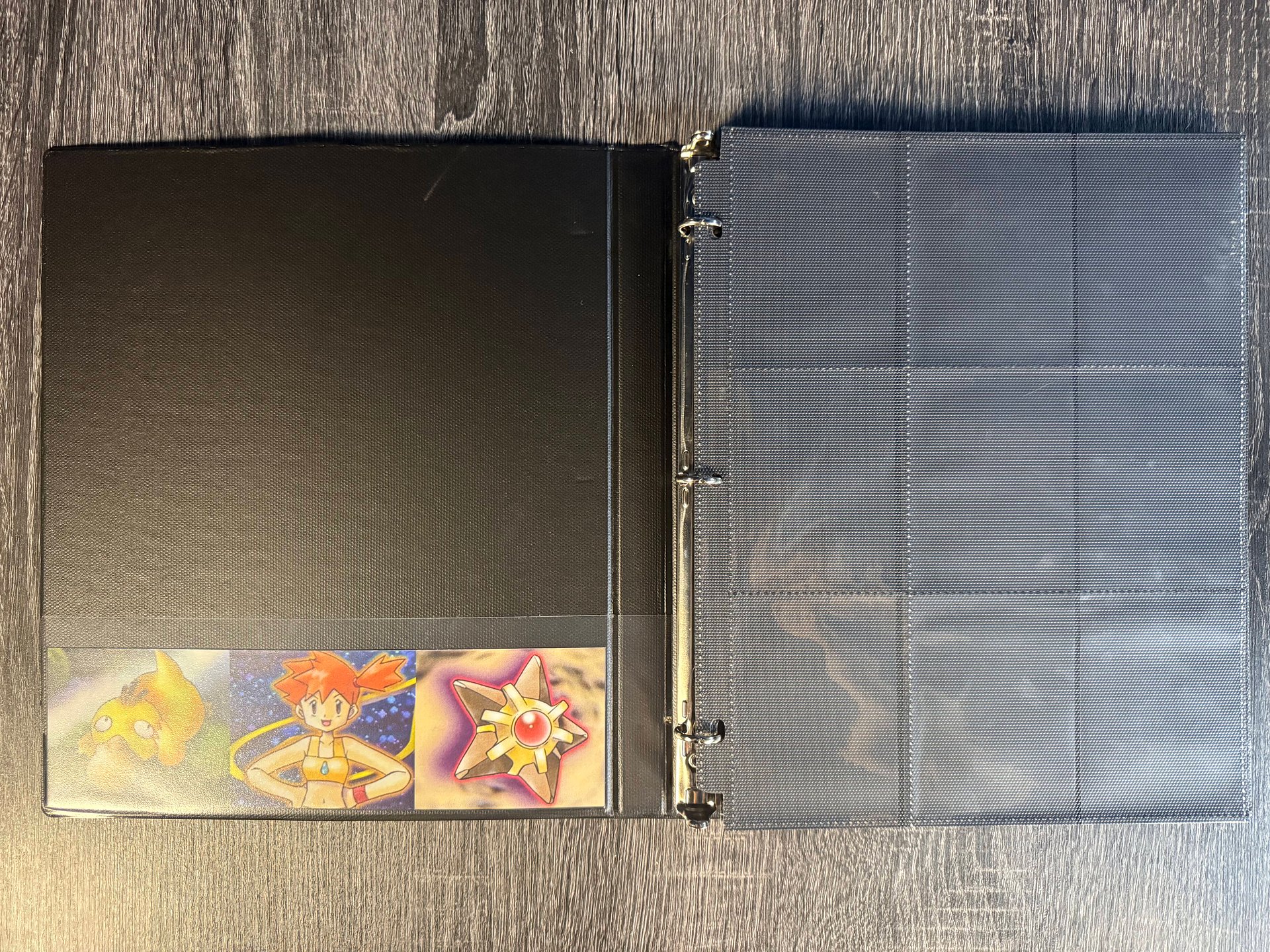 SkyeKeep™ Gym Heroes Custom Master Set Binder product image (2)