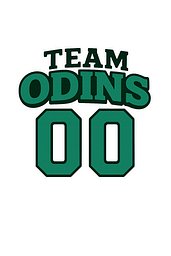 TEAM ODINS