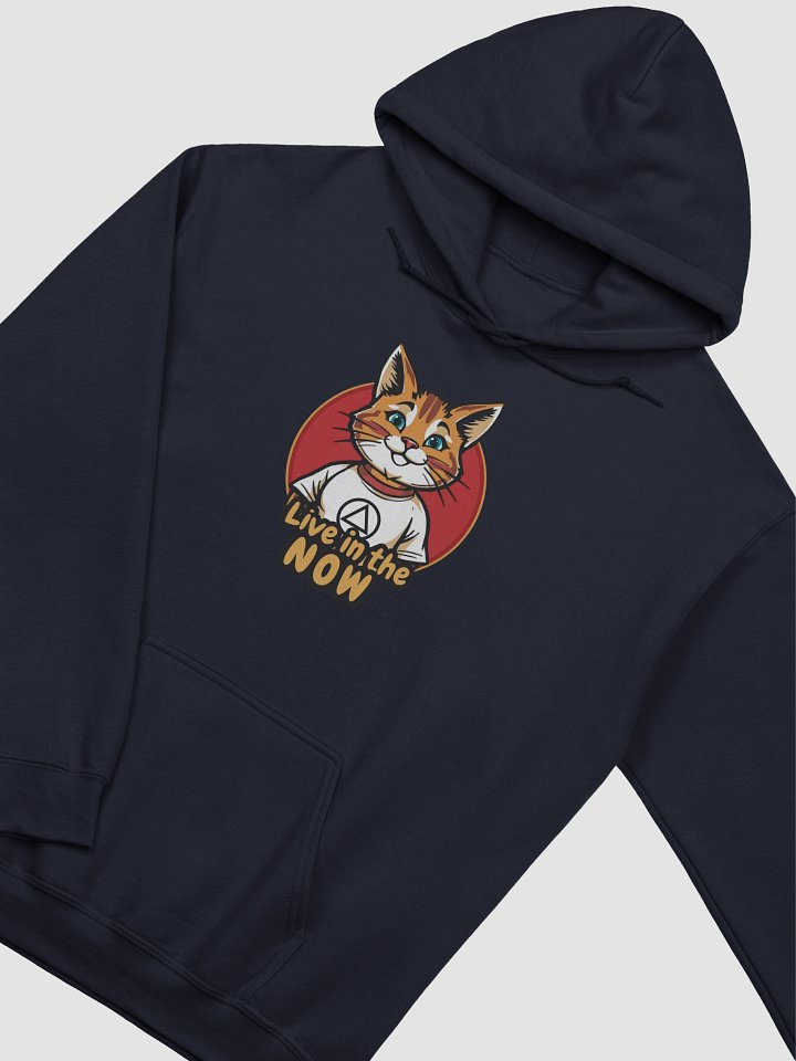 Live in the NOW Cat Lovers AA sobriety & Recovery Hoodie product image (2)