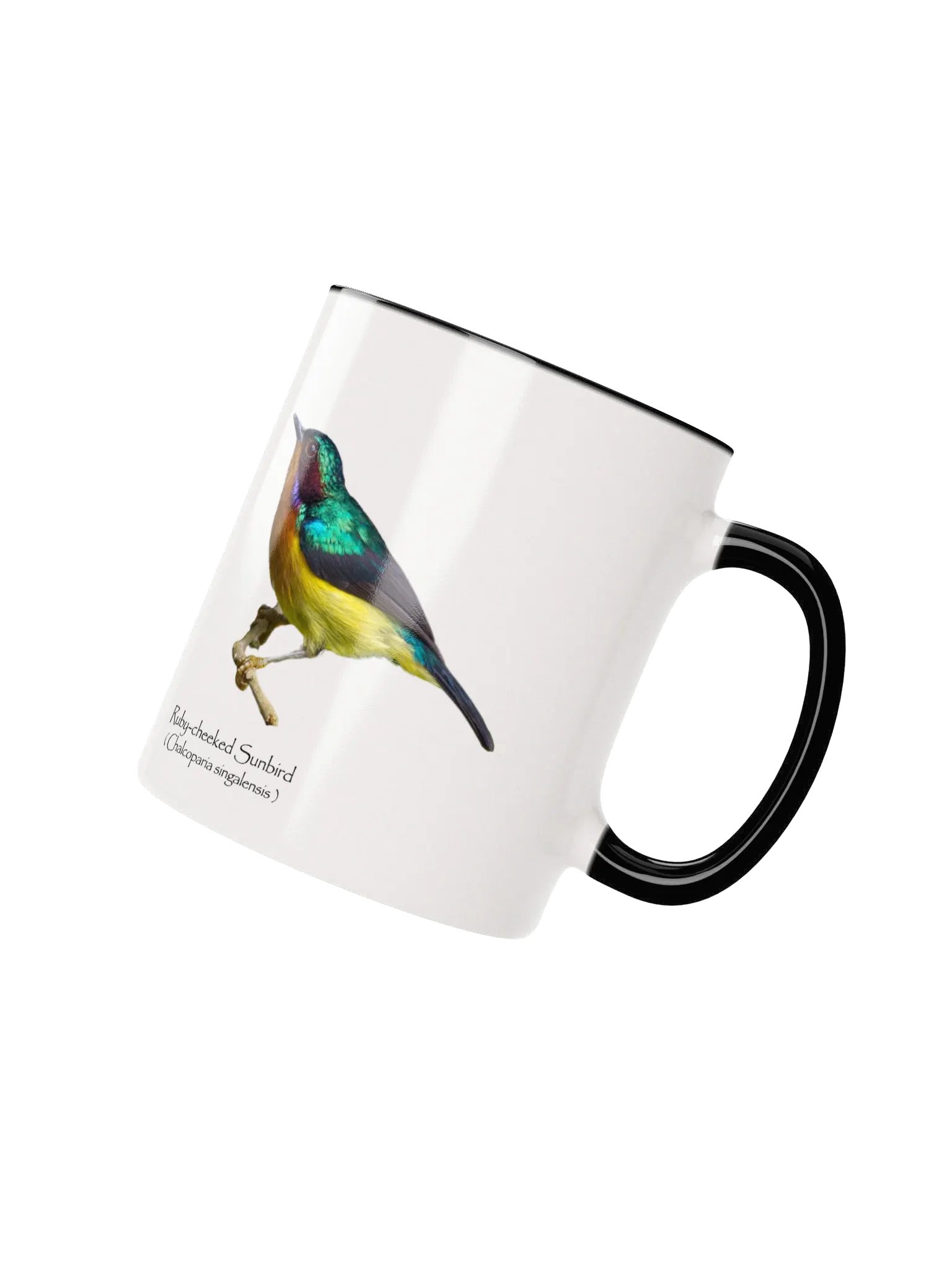 Ruby-cheeked Sunbird mug product image (13)
