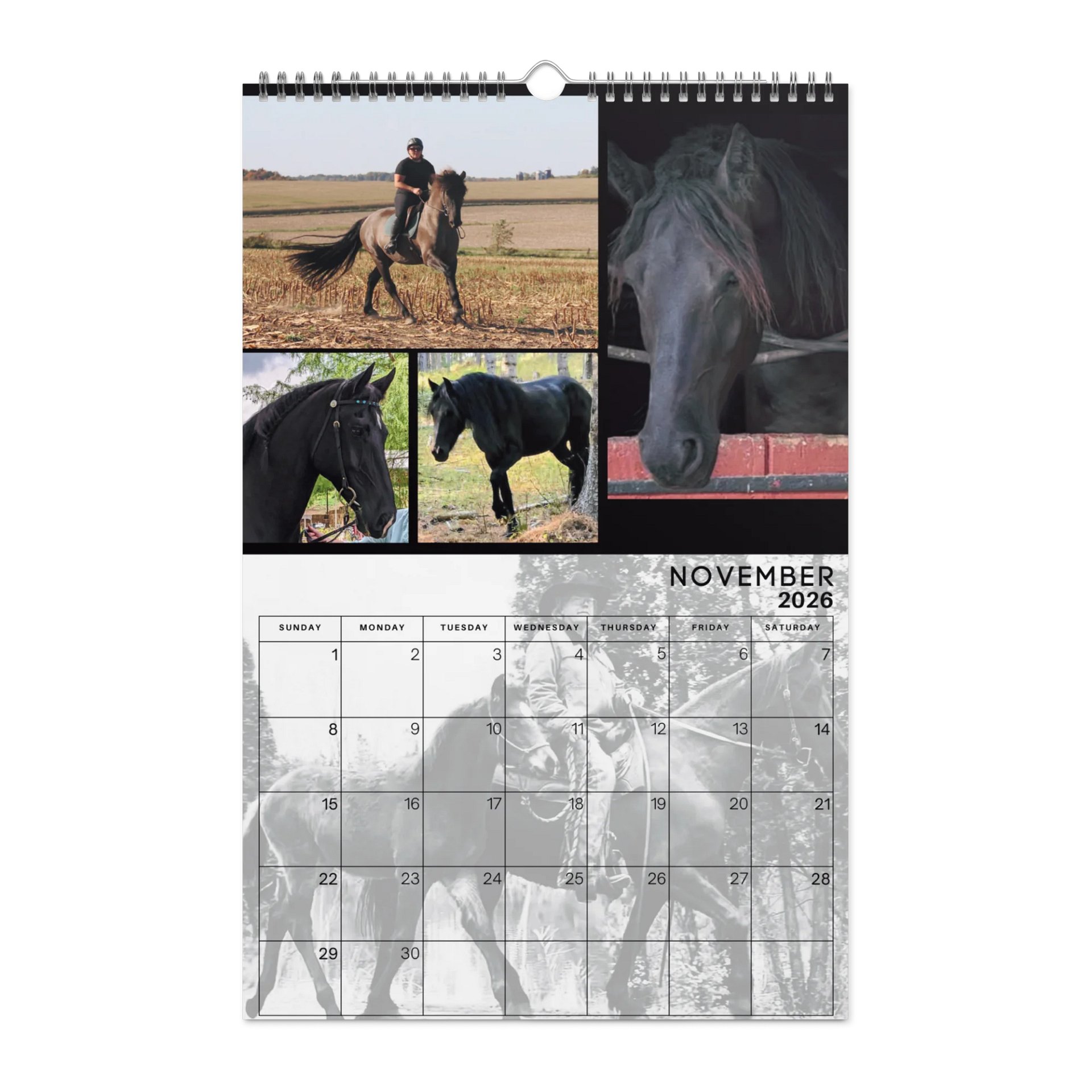 2026 Moriesian Horse Registry Calendar product image (11)