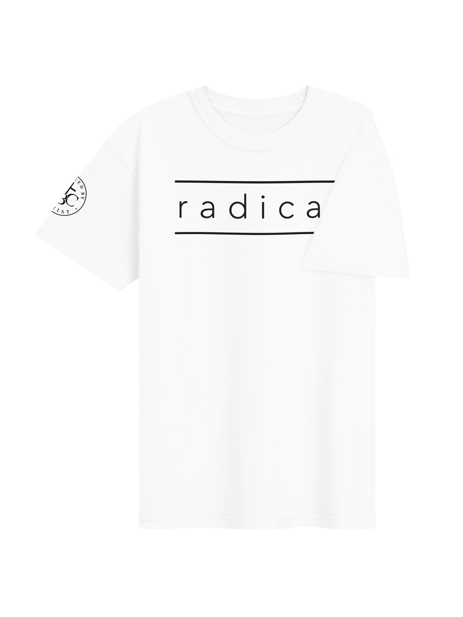 Biblical Truths: White Radical product image (4)