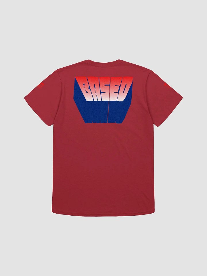 BASED American Flag Mugshot + Bold Letters ~T-Shirt 1~ product image (2)