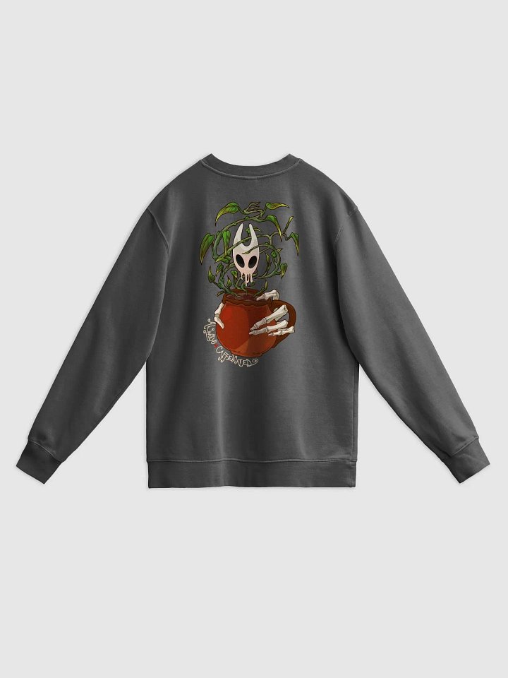 Morning Alchemy Pigment Dyed Crew Sweatshirt product image (2)