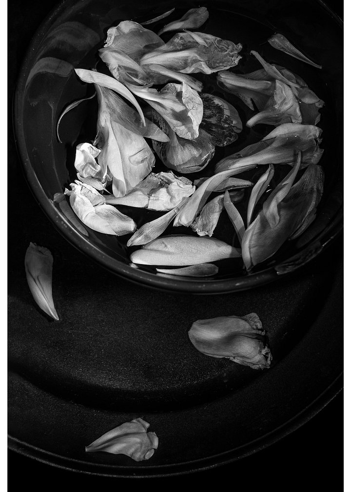 Floating Petals - Print product image (1)
