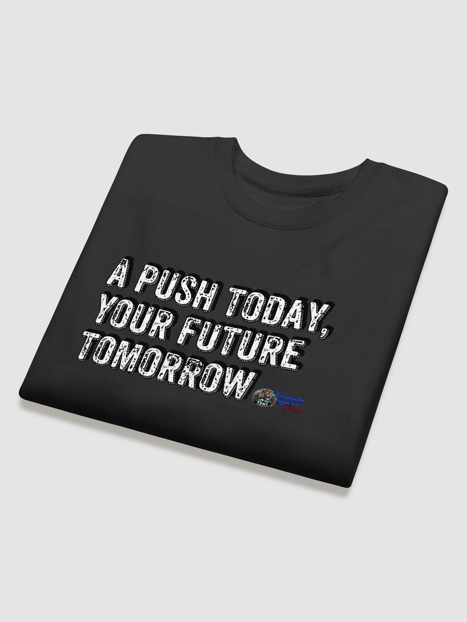 "A Push Today" Premium Crewneck Sweatshirt - Tranquilo Quieto Brand product image (4)
