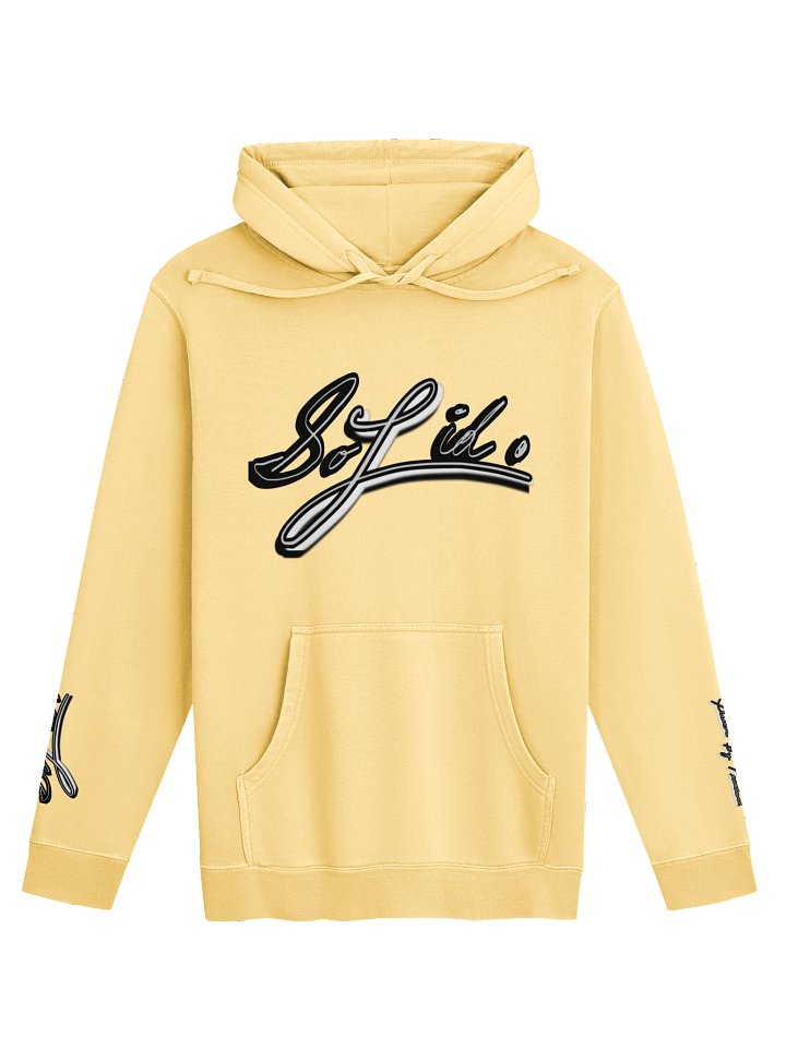 Solid Through it All Heavyweight Hoodie product image (41)