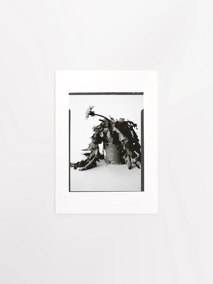 James C'Avedon Print • "Mud Portrait #1" product image (2)