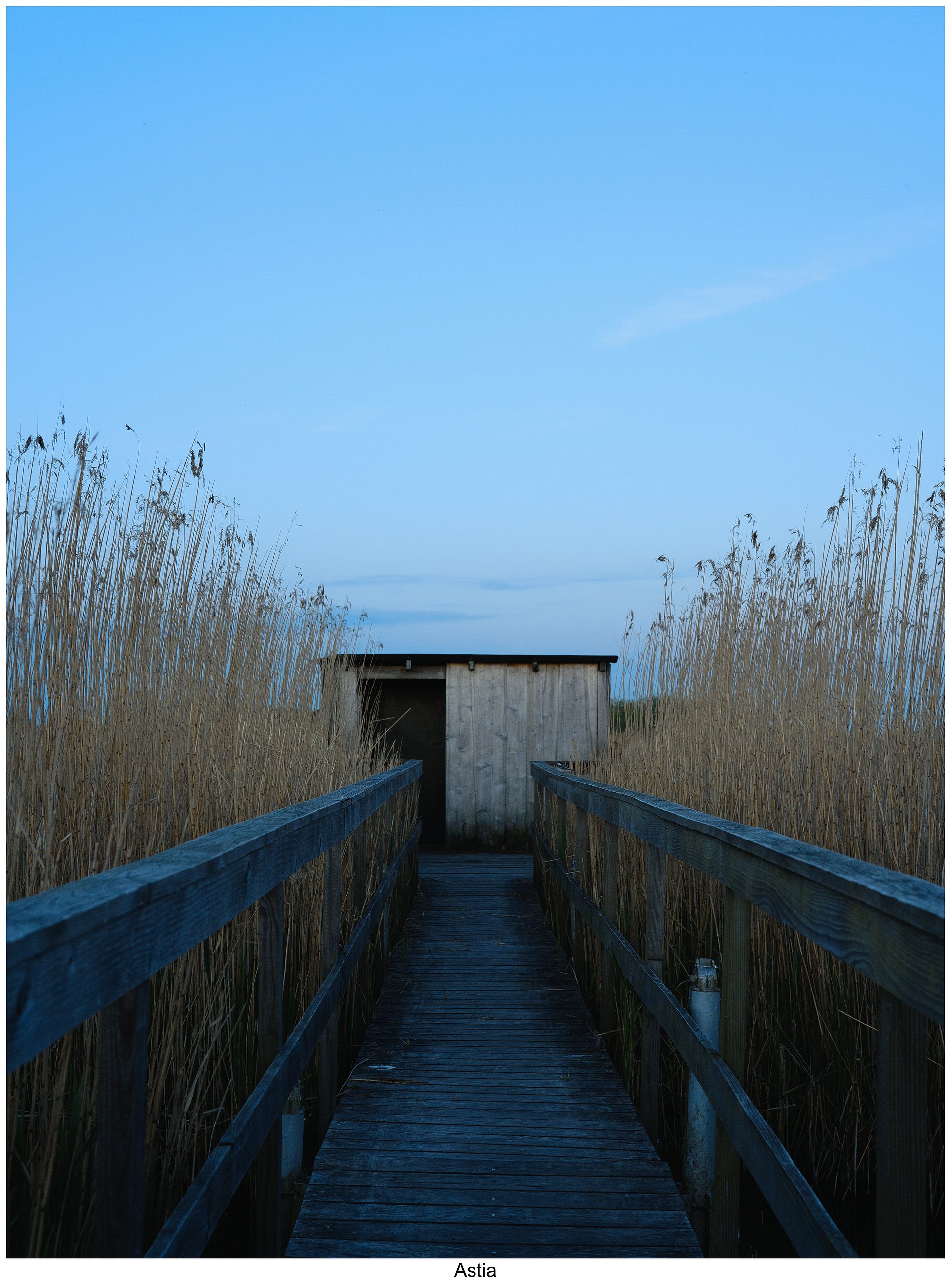 Fujify [Nikon] Lightroom Profiles - Essential Pack product image (2)