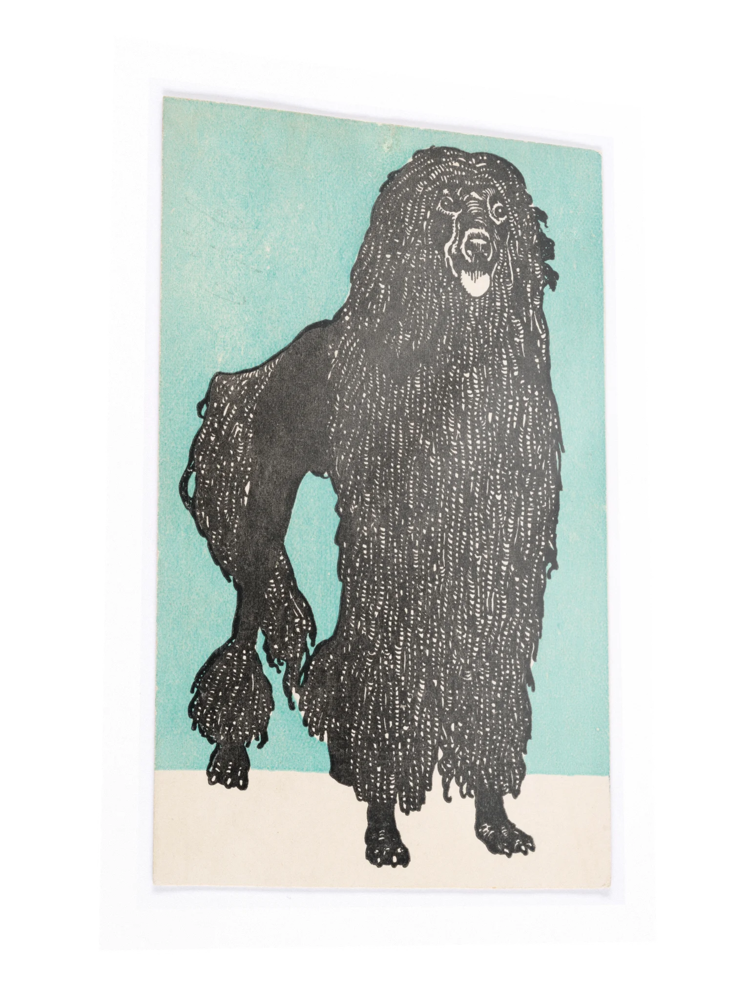 Poodle Poster product image (3)