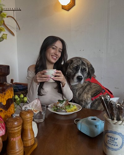 cafe cuties🐶🎀☕️🌷