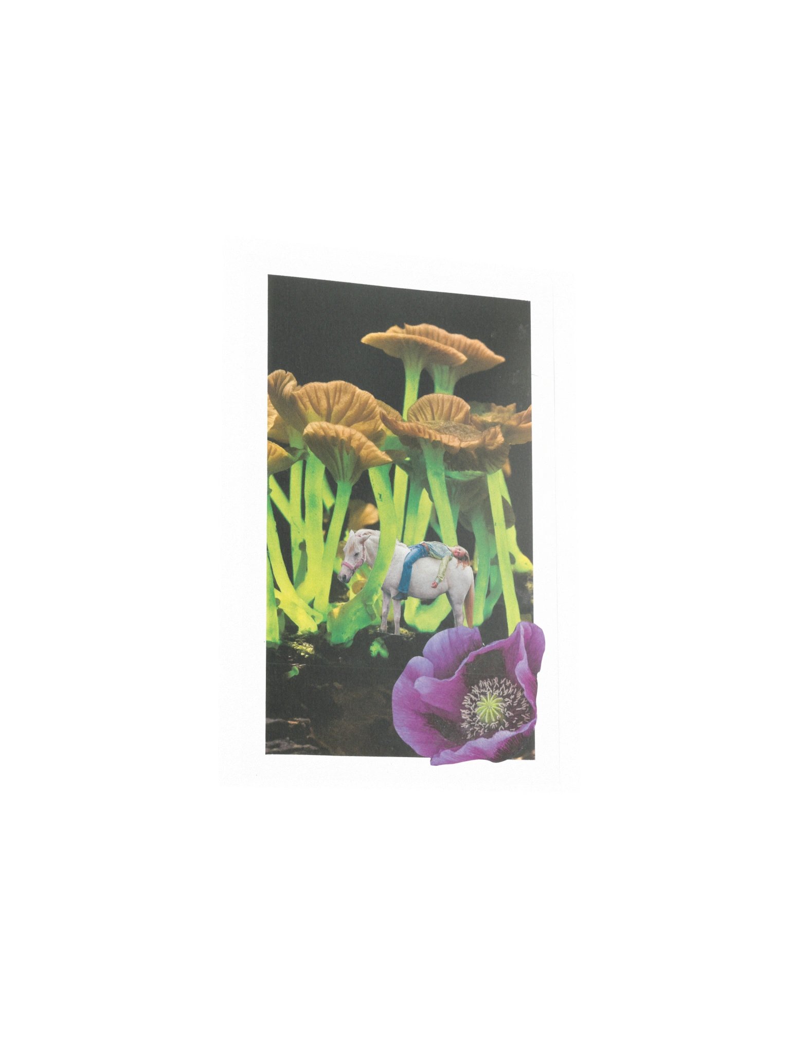 Lysergic Bliss product image (7)