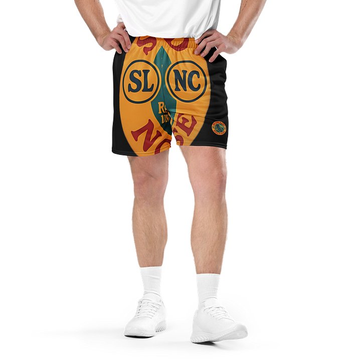 SLNC Logo Mesh Shorts (Black) product image (2)