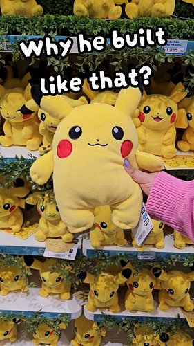 Why's Pikachu built like that tho?

#pokemoncollection #pokemoncollector #pokemonplush #pokemonplushie #pokemoncenter #pokemo...