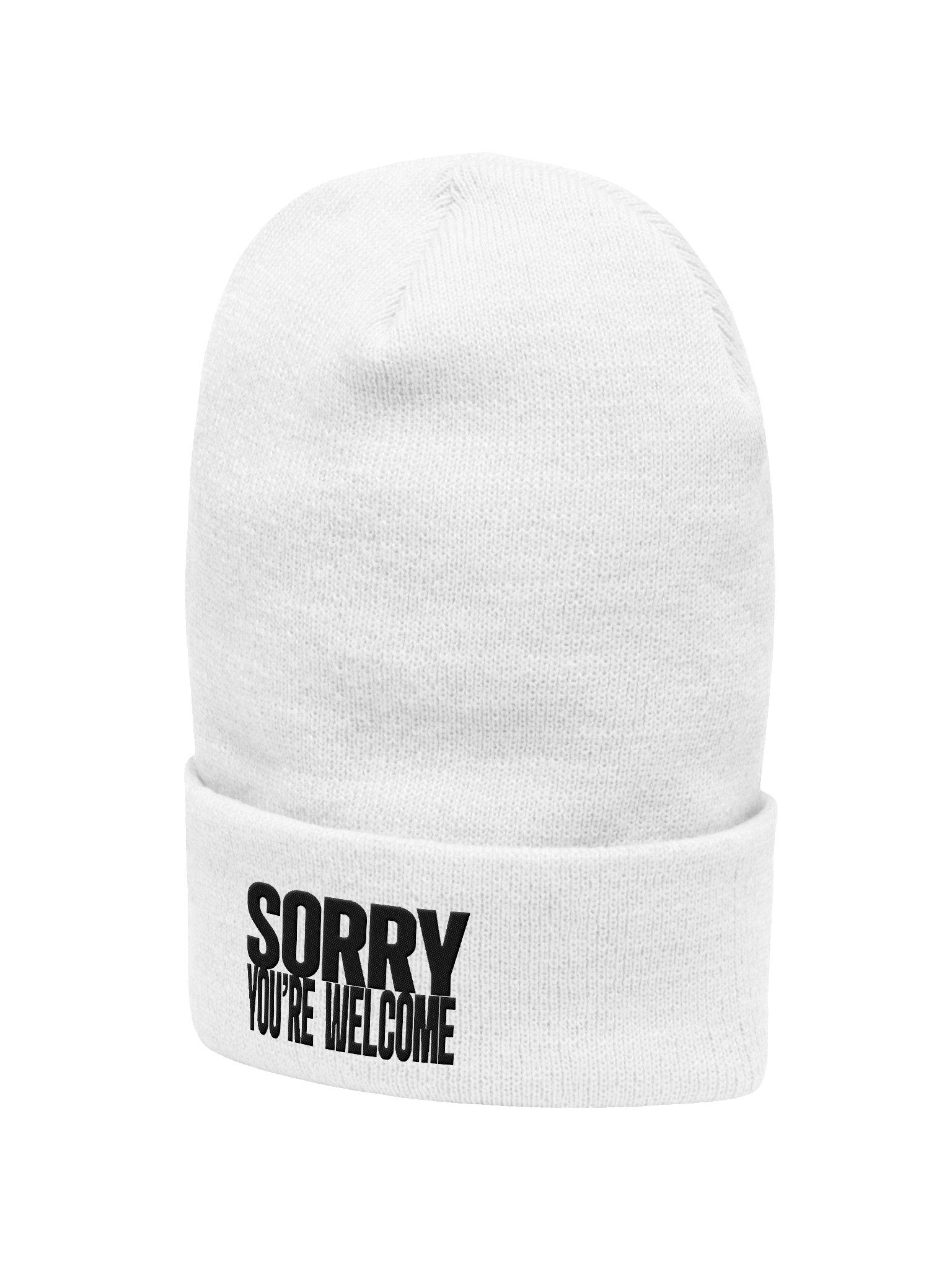 Sorry, You're Welcome (Embroidered Beanie) product image (2)