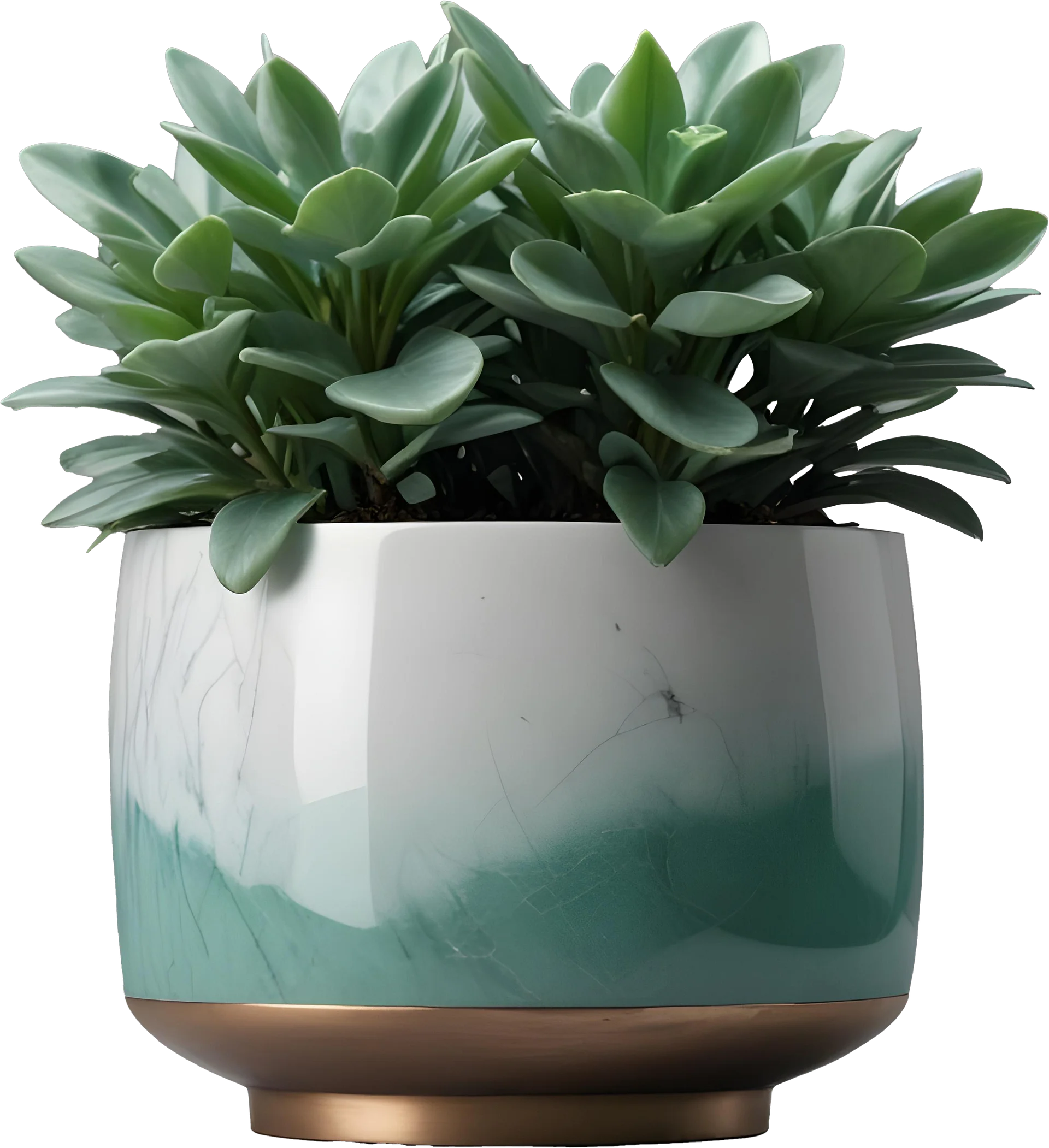 Jade Signature – Faceted Jade Planter PNG product image (1)