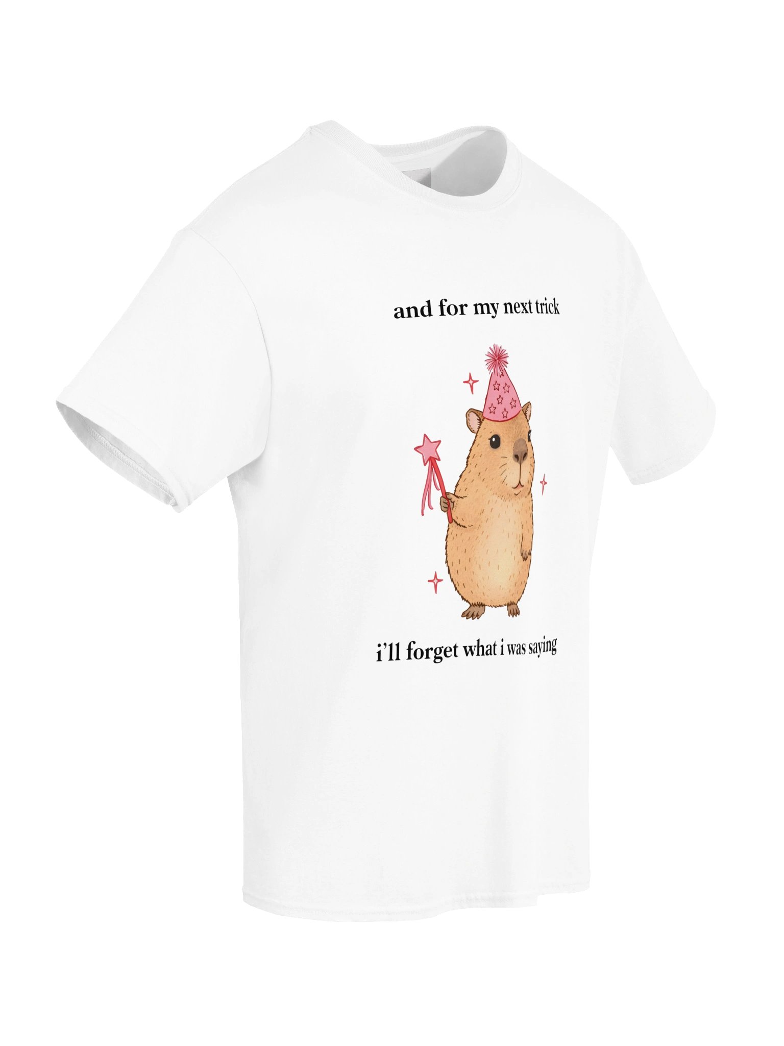 Magic Cabybara product image (50)