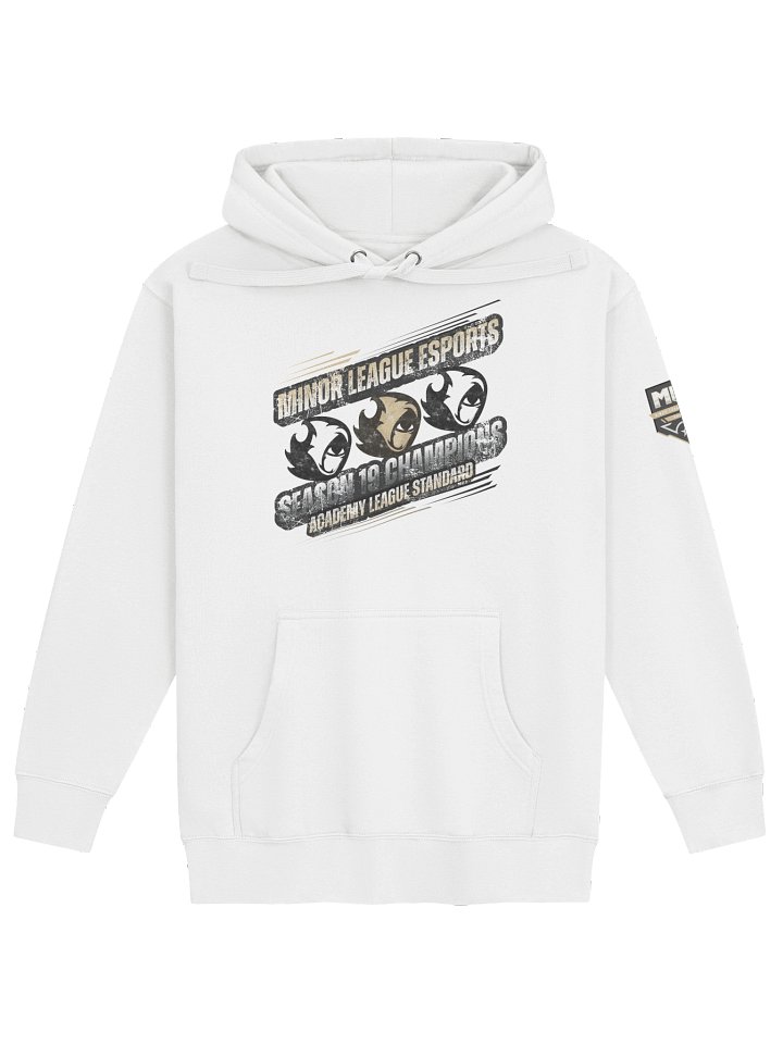 Shadow Season 19 Champions Hoodie product image (3)