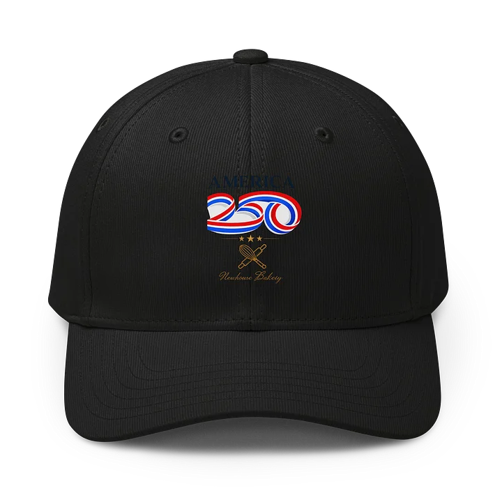 The Newhouse America250 Adidas Alliance Cap product image (1)