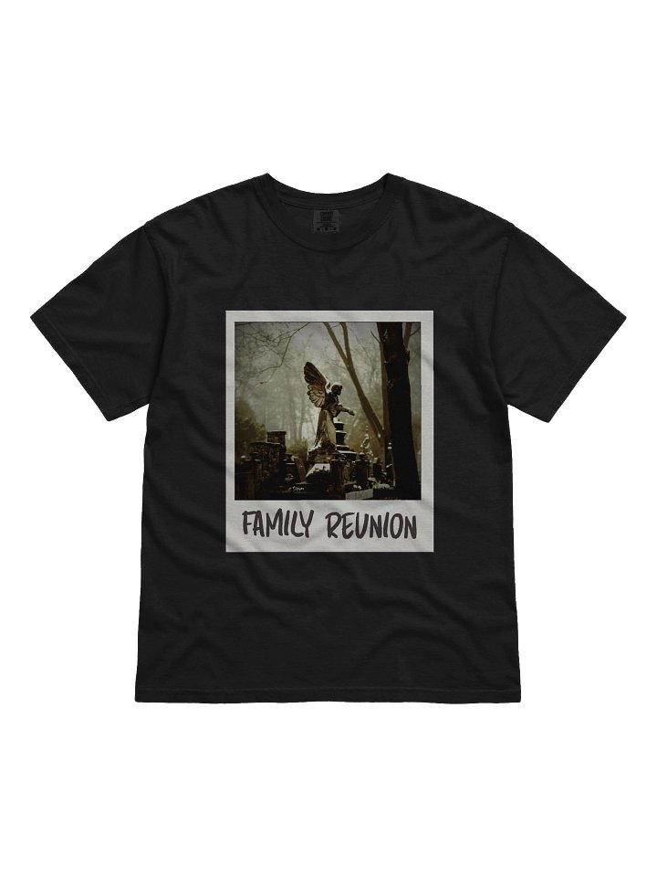 Family Reunion Heavy Shirt product image (1)