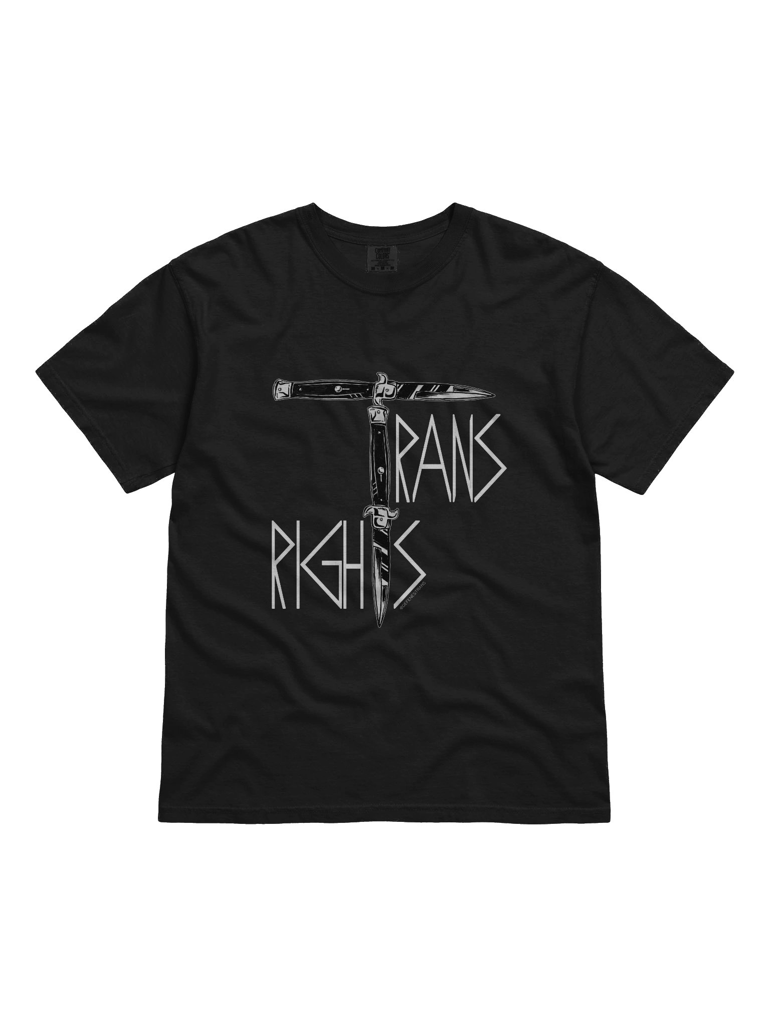 Trans Rights Tee product image (2)