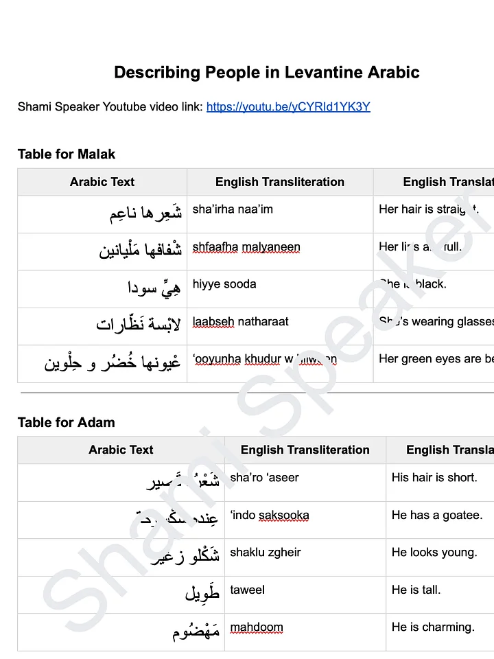 Describing People in Levantine Arabic product image (2)