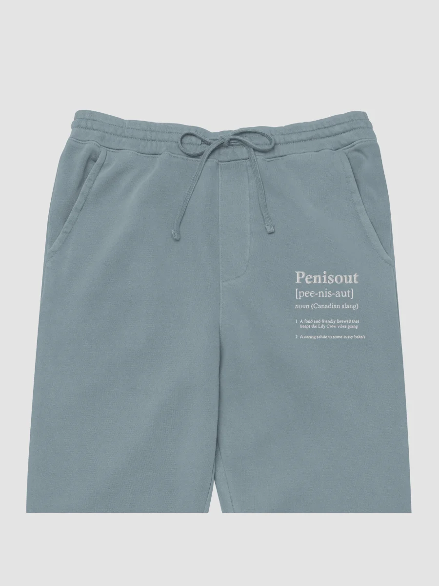 P***sOut ~ Independent Trading Co. Pigment Dyed Sweatpants product image (3)