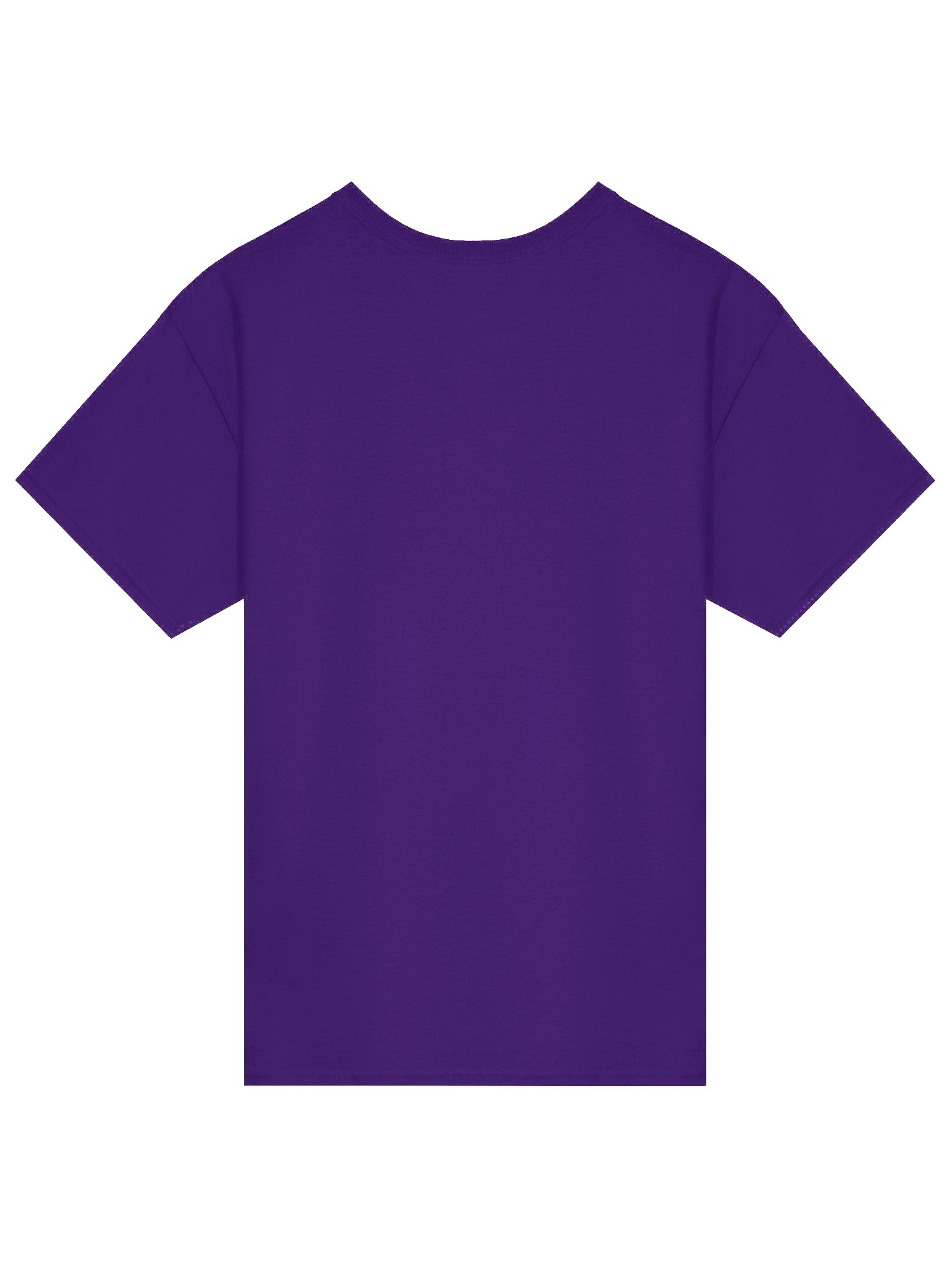 "The Sky is Falling..." Tee product image (14)
