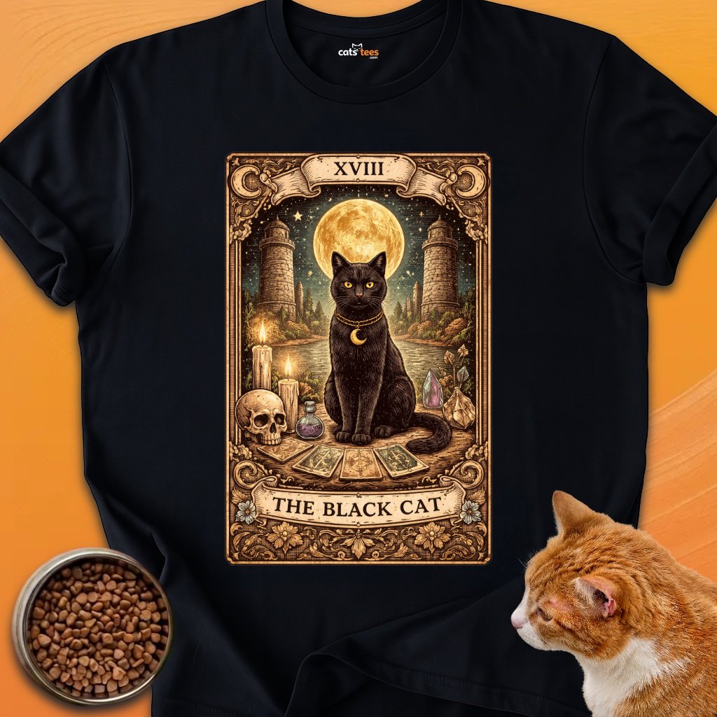 The Black Cat Tarot product image (1)