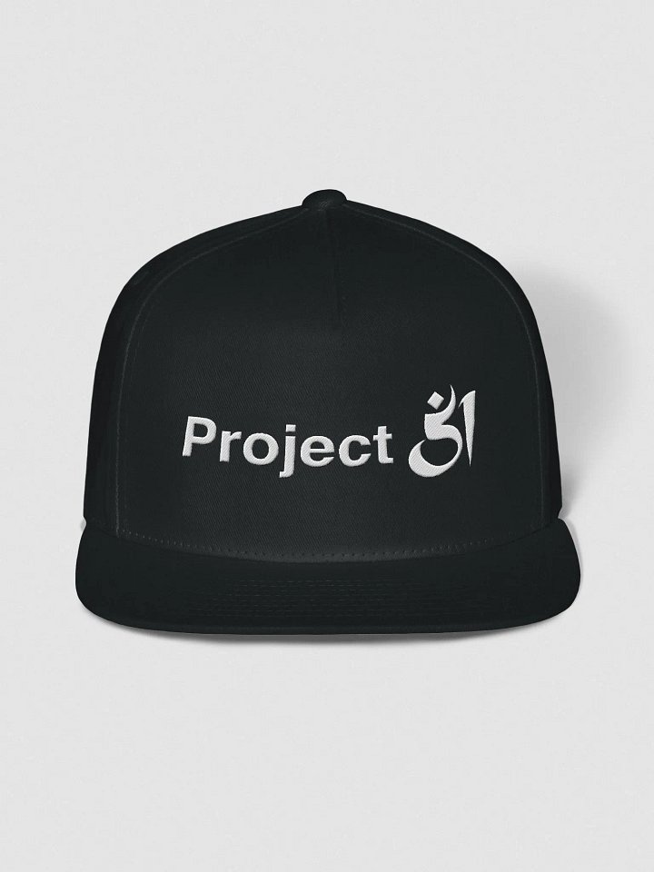 Project 51 snapback product image (1)
