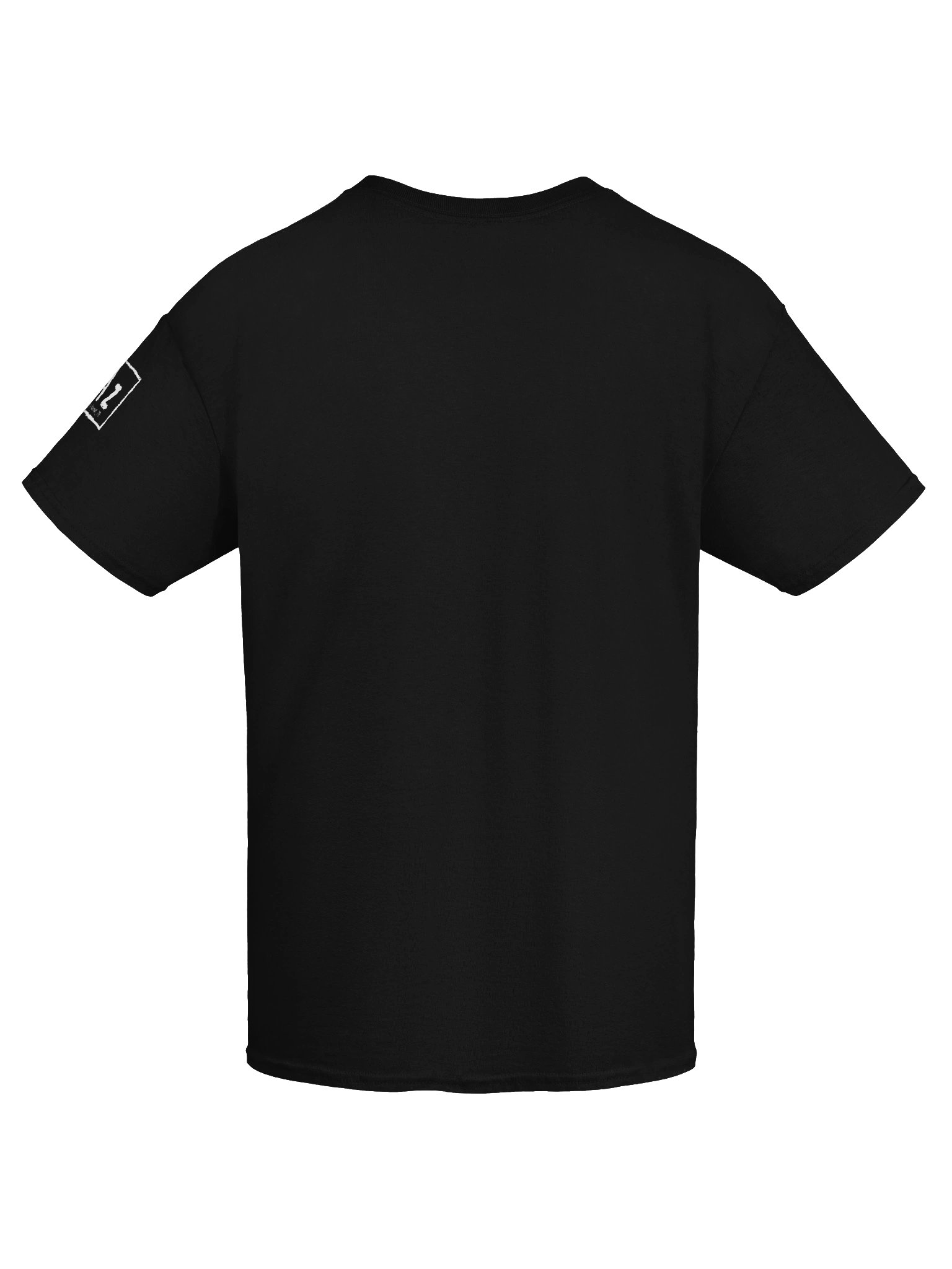 Be a Legend - Graphic Teed product image (7)