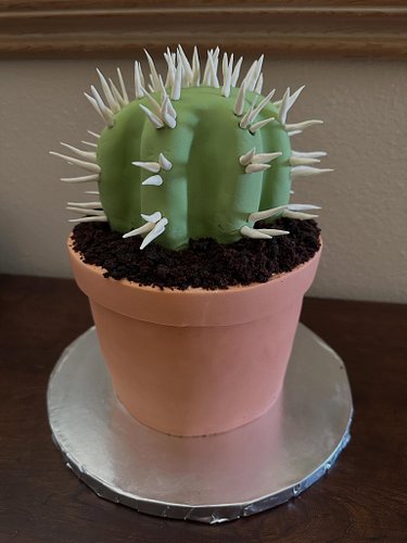 Had a great time making this fun barrel cactus cake with my sister on stream today! 
.
.
.
.
.
.
.
.
.
.
.
.
#cake #cactuscak...
