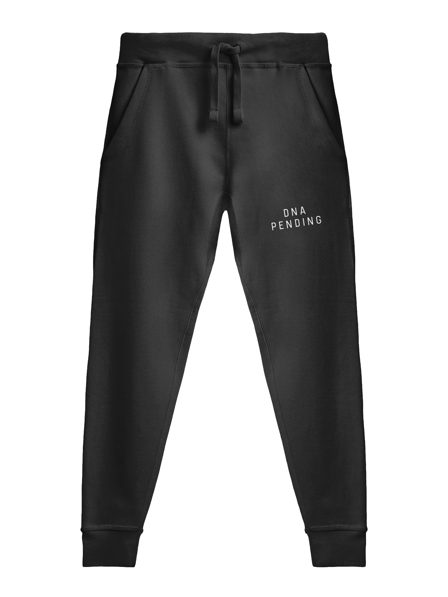 DNA Pending Joggers product image (1)