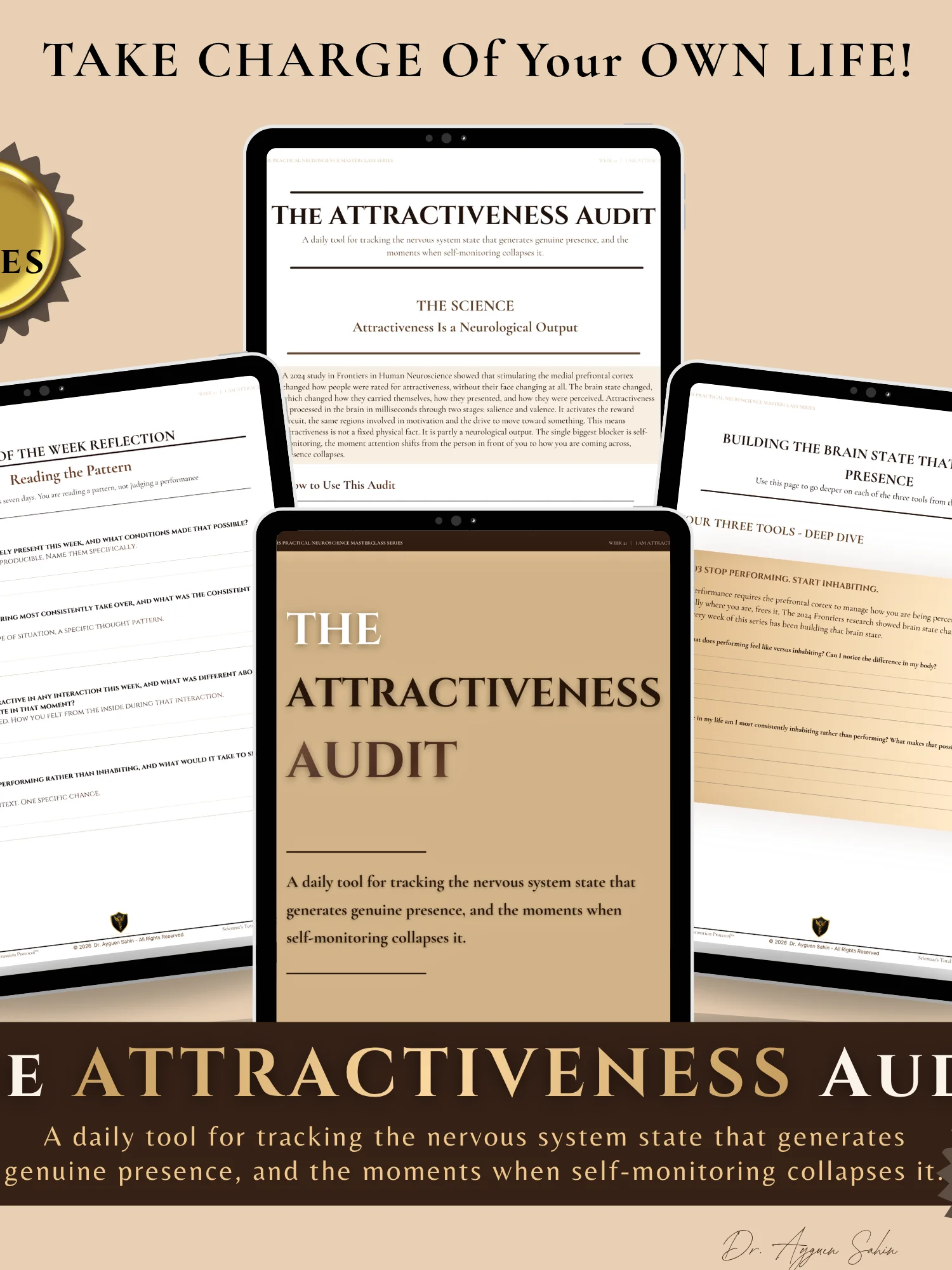 The ATTRACTIVENESS Audit product image (1)