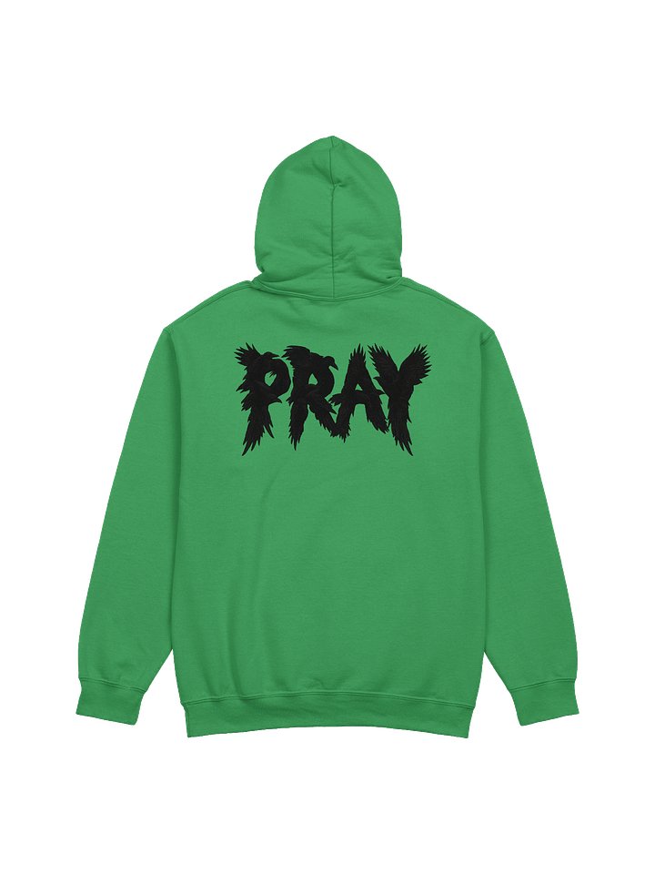 Birds Of Pray Hoodie product image (1)