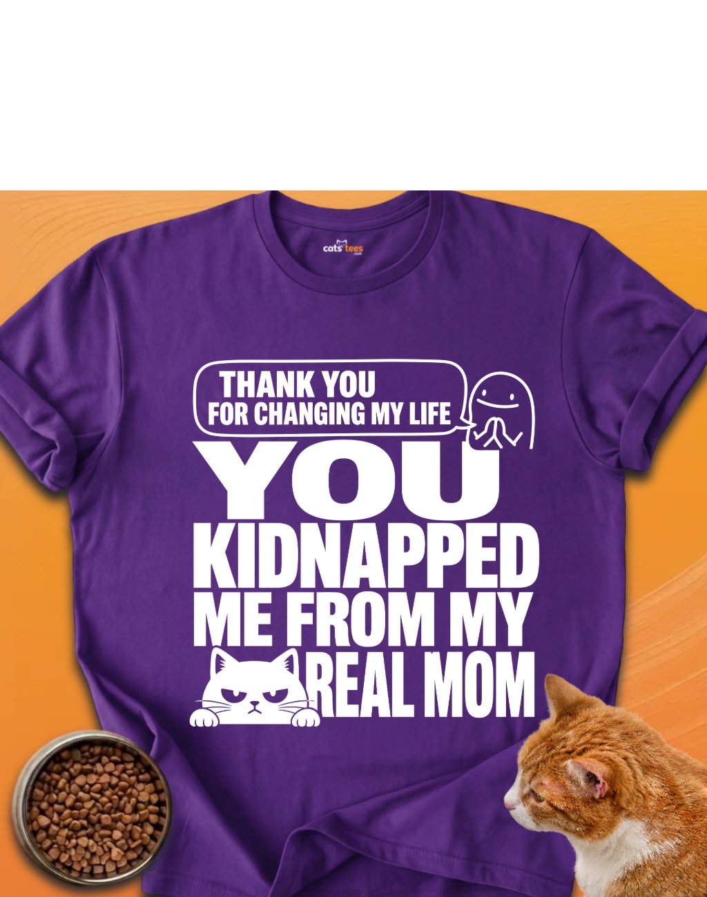 Kidnapped Cat product image (16)