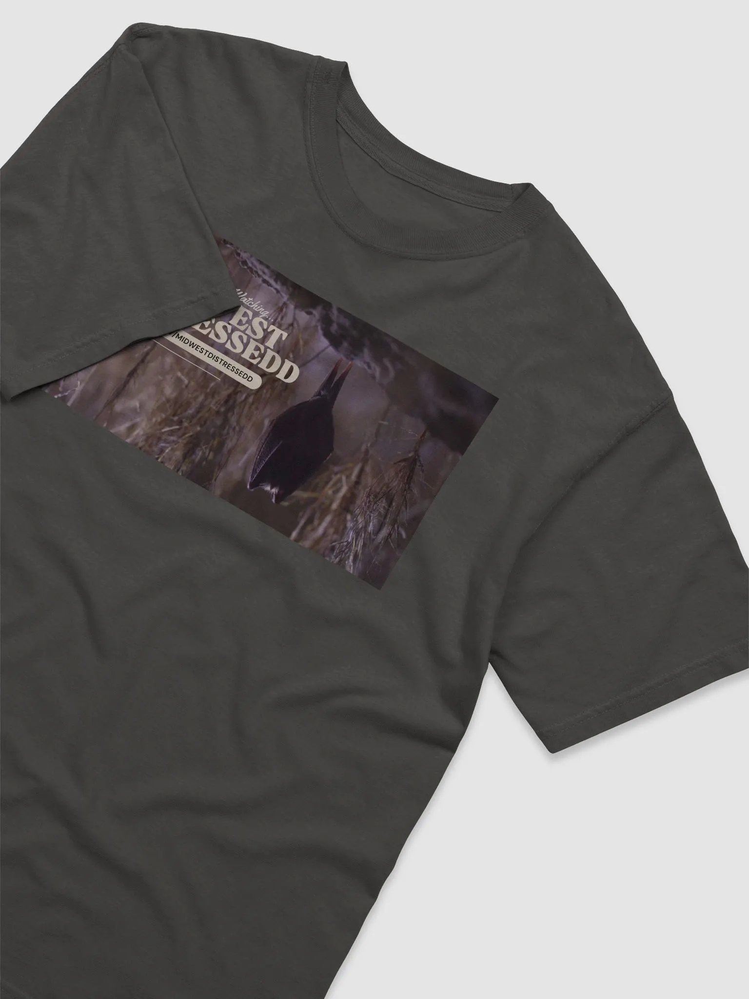 You Are Now Watching.... T-Shirt product image (27)