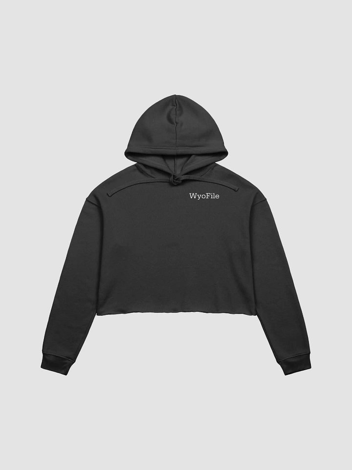 WyoCropHoodie product image (1)